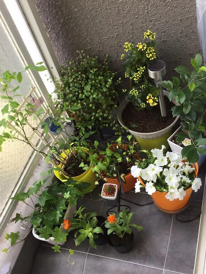 Guest house Raku Raku House Hotel Tokyo